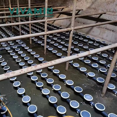 Aeration Diffusers Wastewater